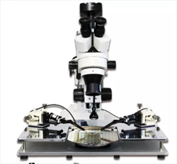 Máy đo mạch PCB ESDEMC ES62X-CMPS Compact Manual Probe Station